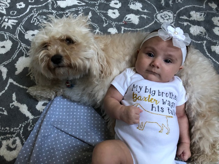 Houston, We have a Problem&nbsp;(8/15/2018)