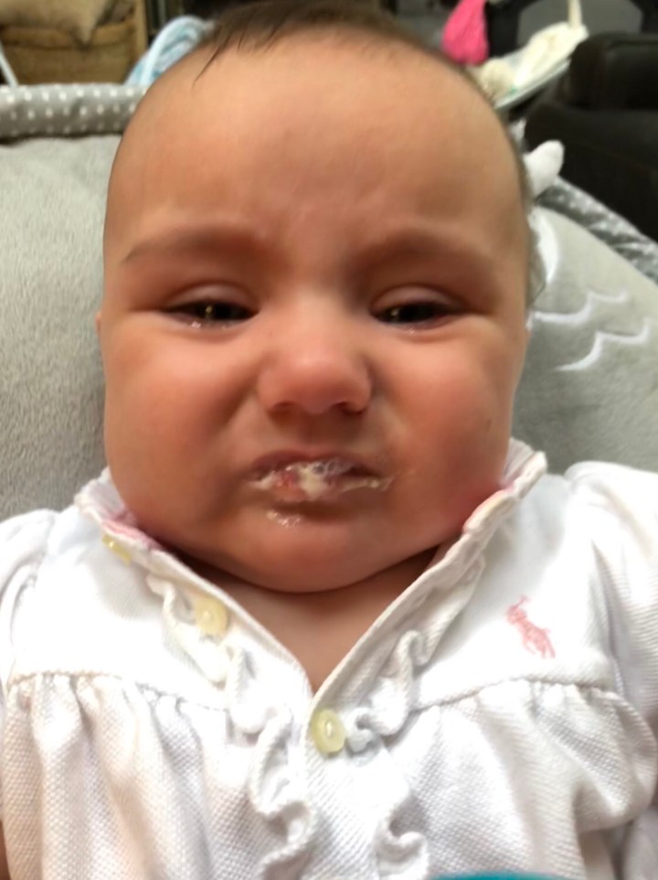 A baby’s trash is a puppy’s treasure&nbsp;(8/31/2018)