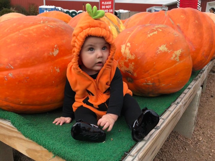 Our little pumpkin is six months old! (10/21/18-10/27/18)